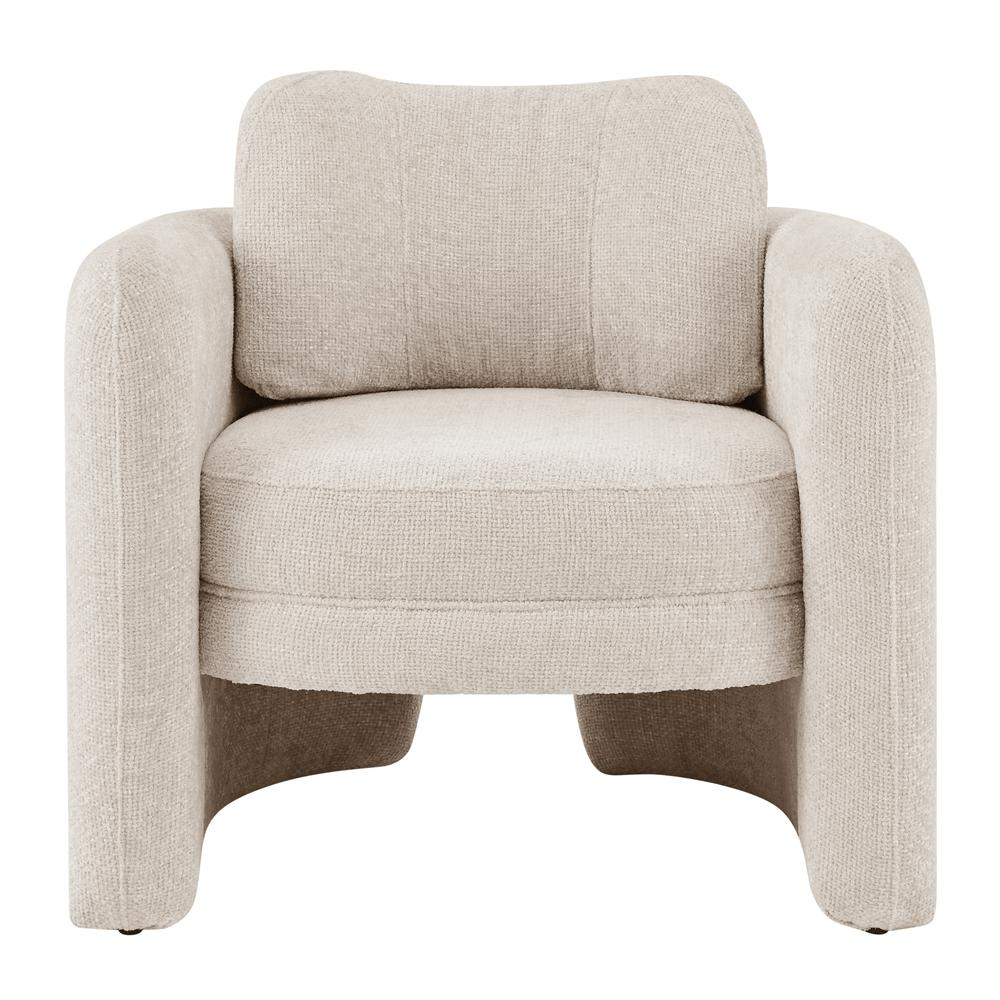 Deryll Fabric Accent Arm Chair